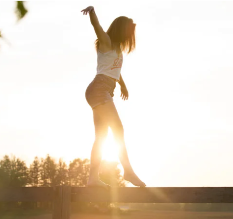 Hongos Medicinales: La Ciencia Detrás de su Magia