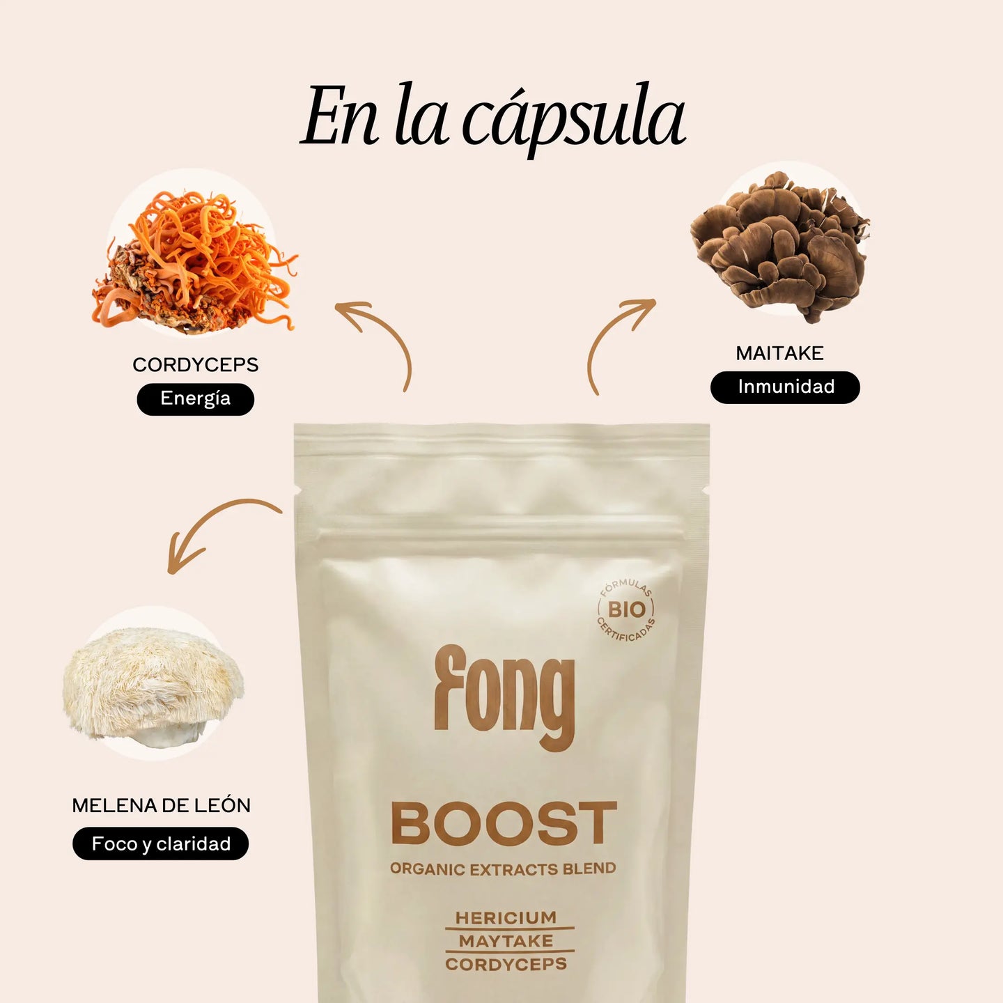 BOOST - Cápsulas en polvo thefongstore