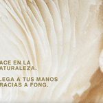 Texto publicitario sobre naturaleza en fondo con textura orgánica beige clara y marrón suave
