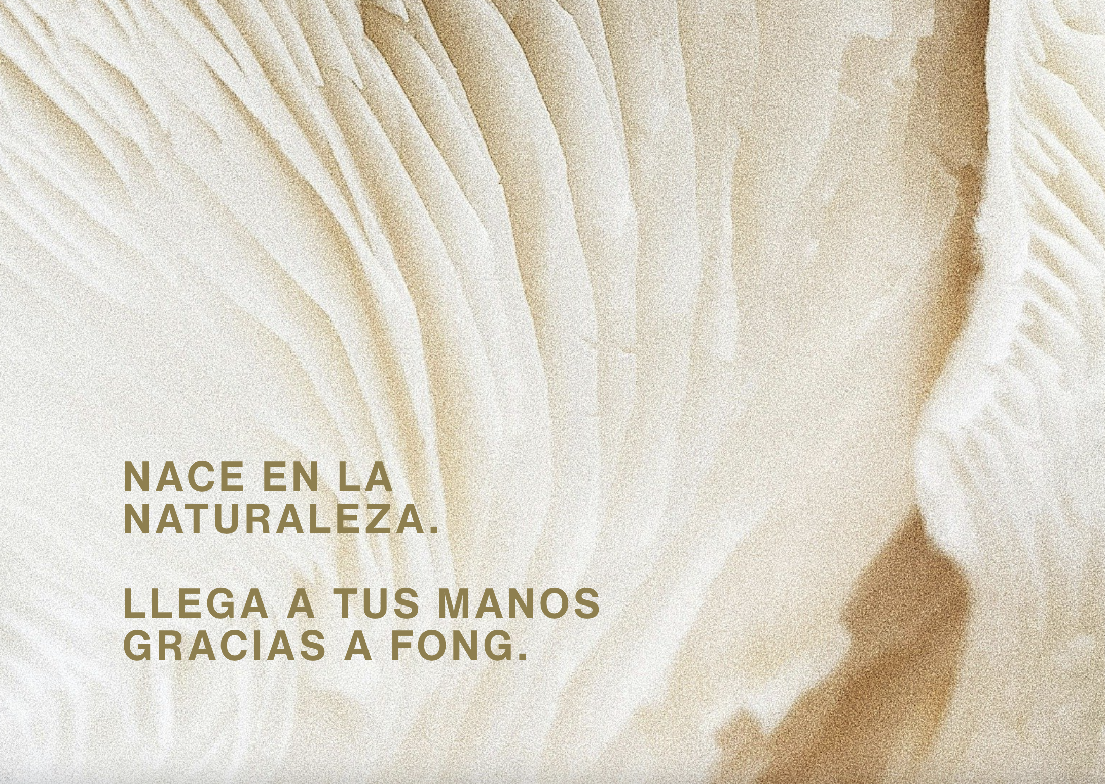 Texto publicitario sobre naturaleza en fondo con textura orgánica beige clara y marrón suave