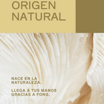 Texto promocional con mensaje de ingredientes 100% de origen natural y logotipo de Fong sobre fondo beige y textura natural