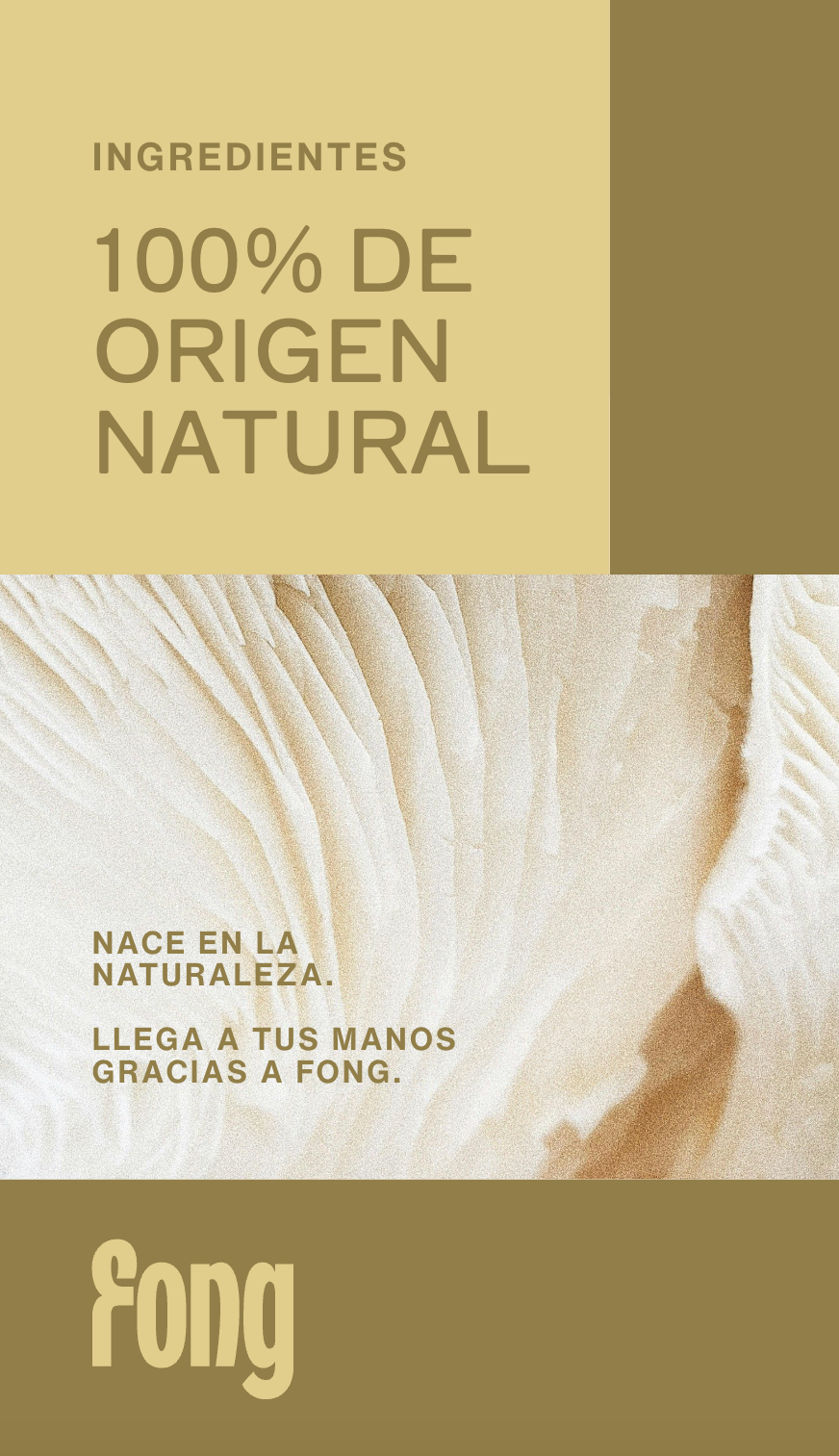 Texto promocional con mensaje de ingredientes 100% de origen natural y logotipo de Fong sobre fondo beige y textura natural